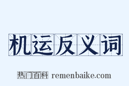 机运反义词是什么意思的图片